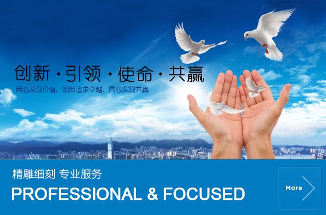用心發現價值,創新追求卓越,用心實現共贏 用心發現價值,創新追求卓越,用心實現共贏